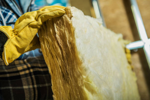 Best Cellulose Insulation in Grant, AL